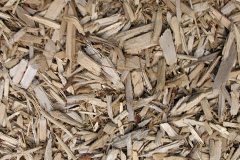 biomass boilers Llanddowror
