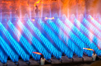 Llanddowror gas fired boilers